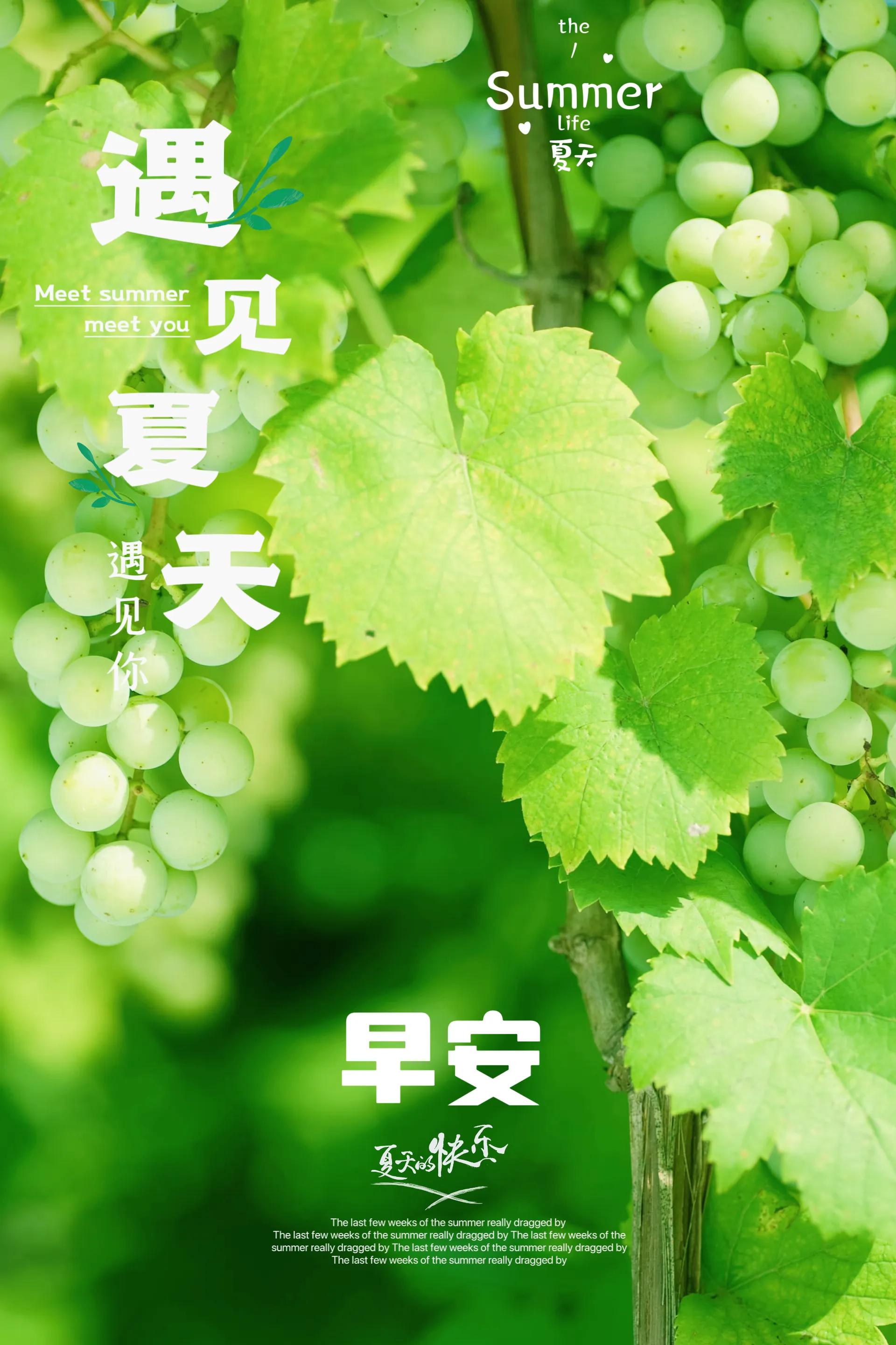 漂亮的周五早安温馨问候祝福图片,2023.09.13早安图片