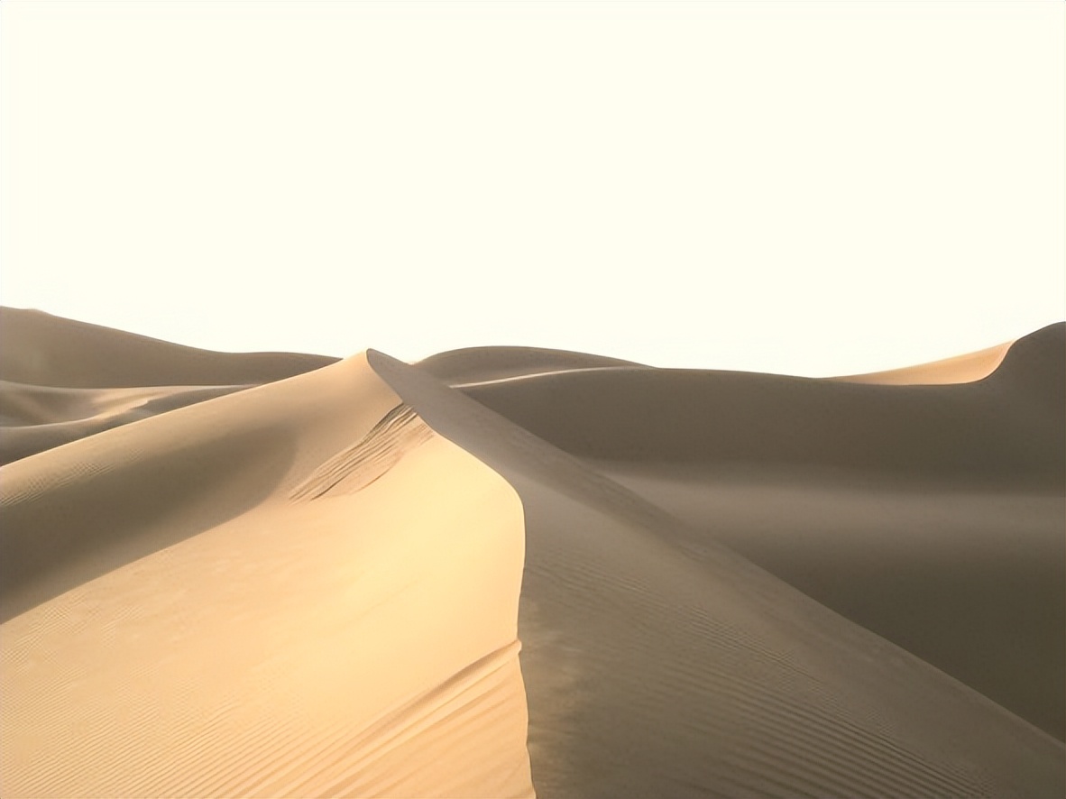 生活只剩下眼前的苟且英语,生活只剩下工作