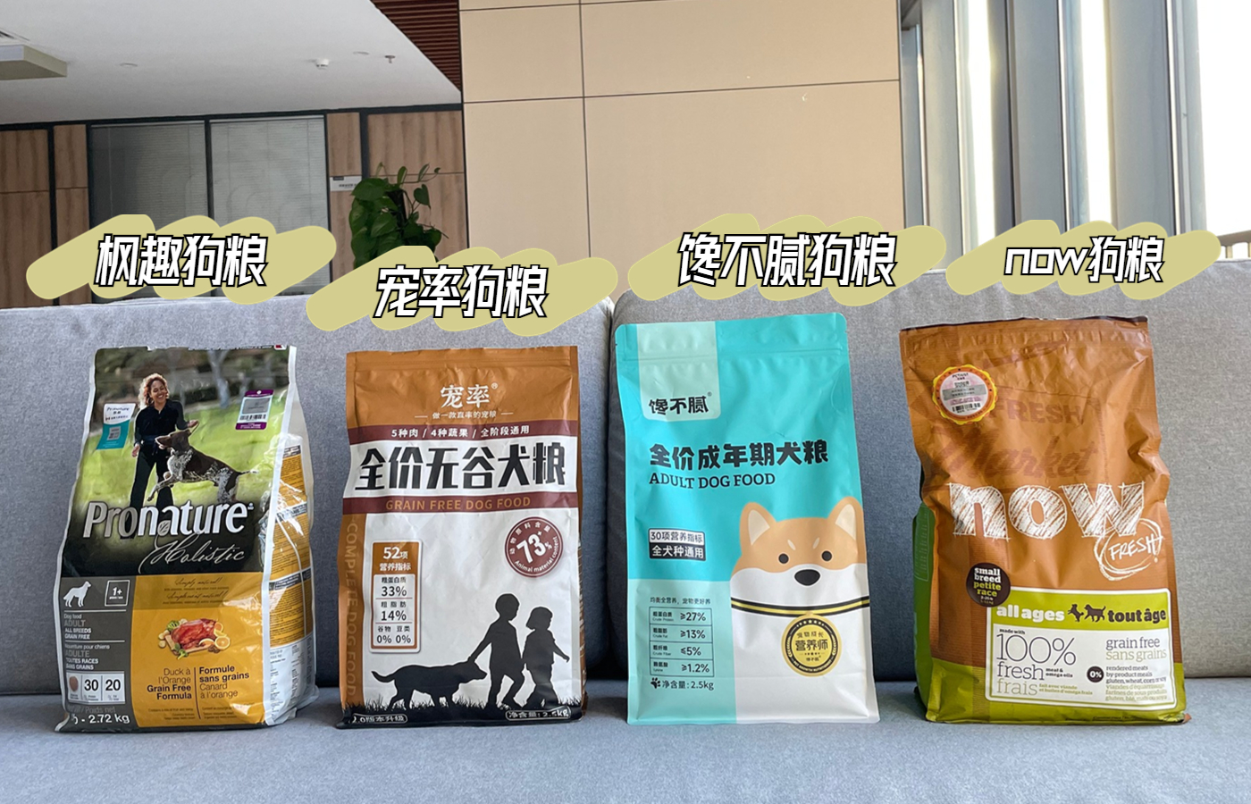 下司犬为什么不建议养,怎么养下司犬