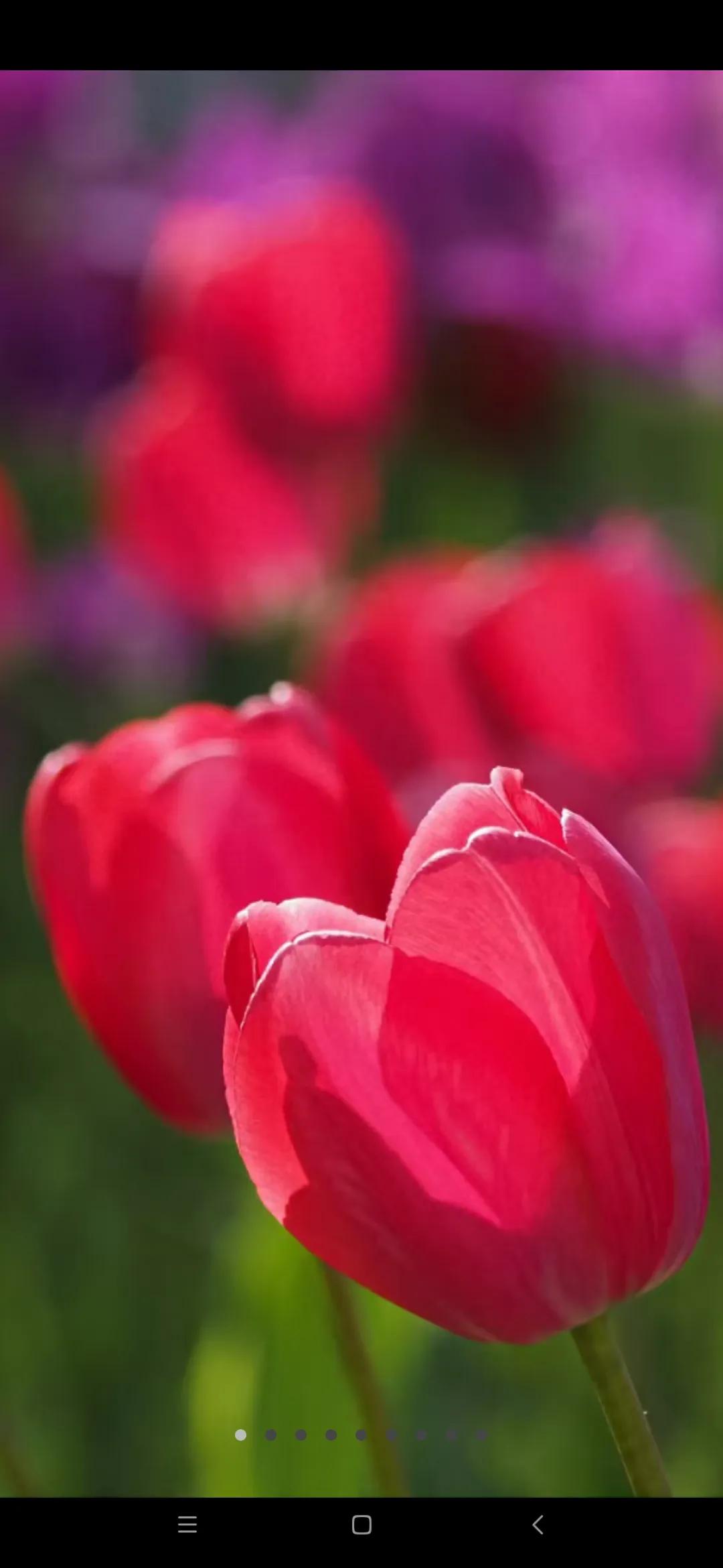 带防抖的长焦镜头500块,防抖长焦镜头推荐500元以下