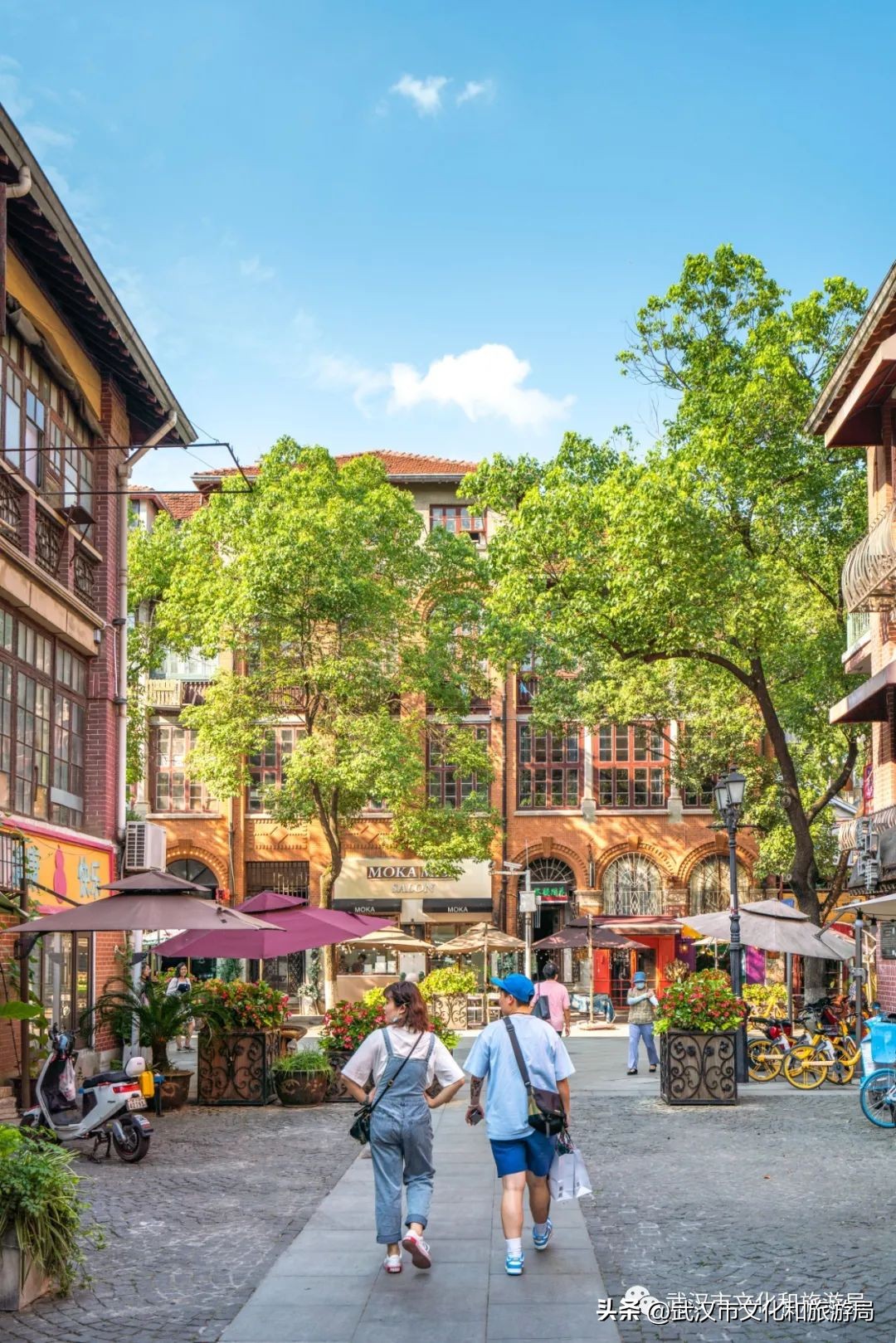 来武汉一定要去一趟东湖看荷花,来武汉看樱花吧