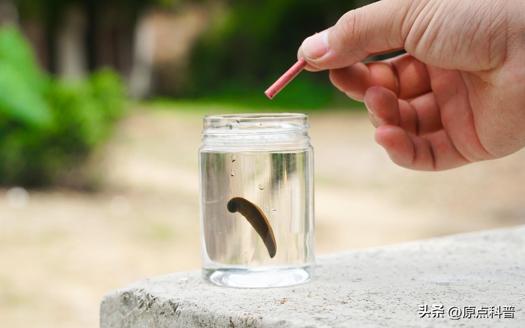 那些90后童年玩过的东西,盘点童年玩过的东西
