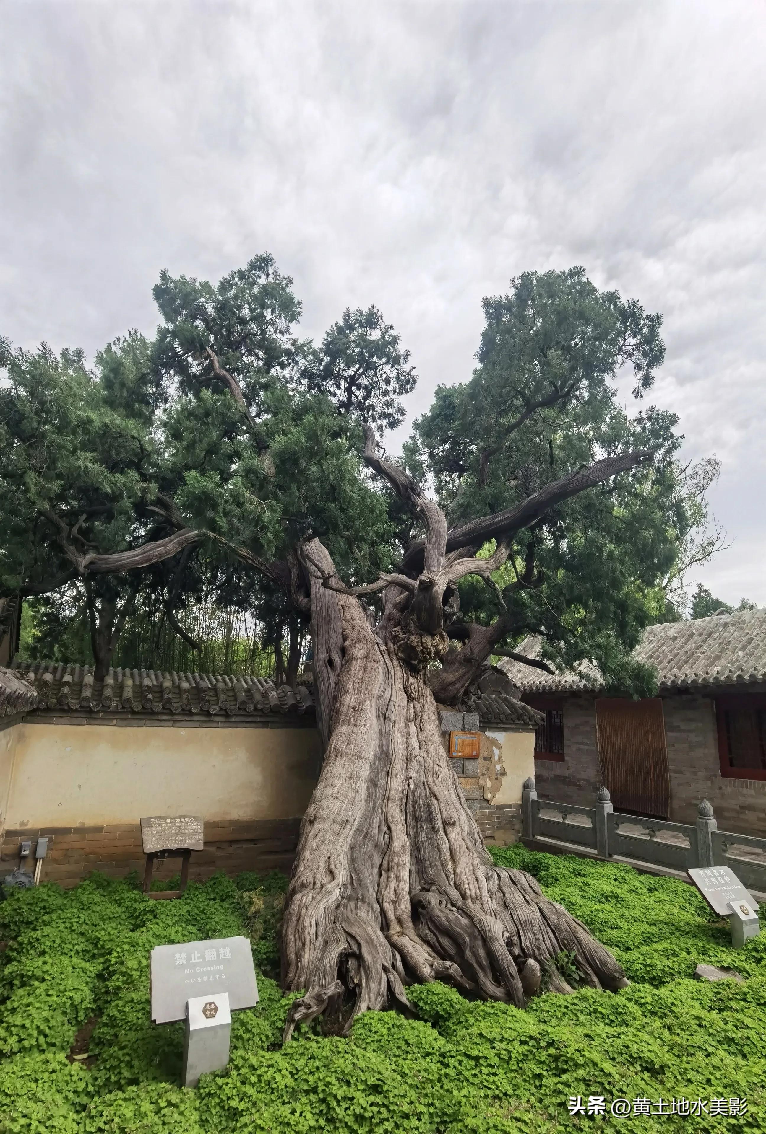 河南最高学府,河南历史最悠久的大学