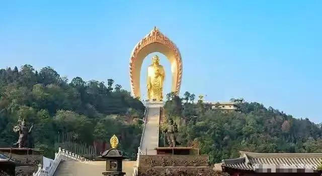 杜大娘真心话大冒险,网友:克隆许妈的名言而已