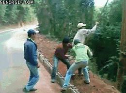 真实大象图片大全可爱,真实野生大象图片