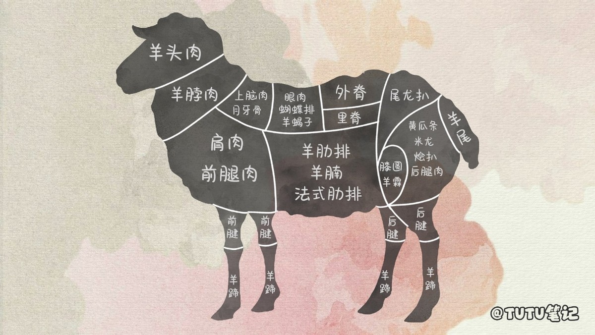 常见羊肉吃法和分类,史上最全羊肉各部位吃法