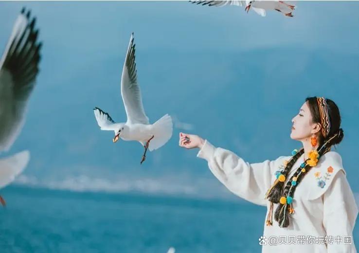 云南丽江古城旅游攻略自由行攻略,云南丽江游玩攻略详细攻略