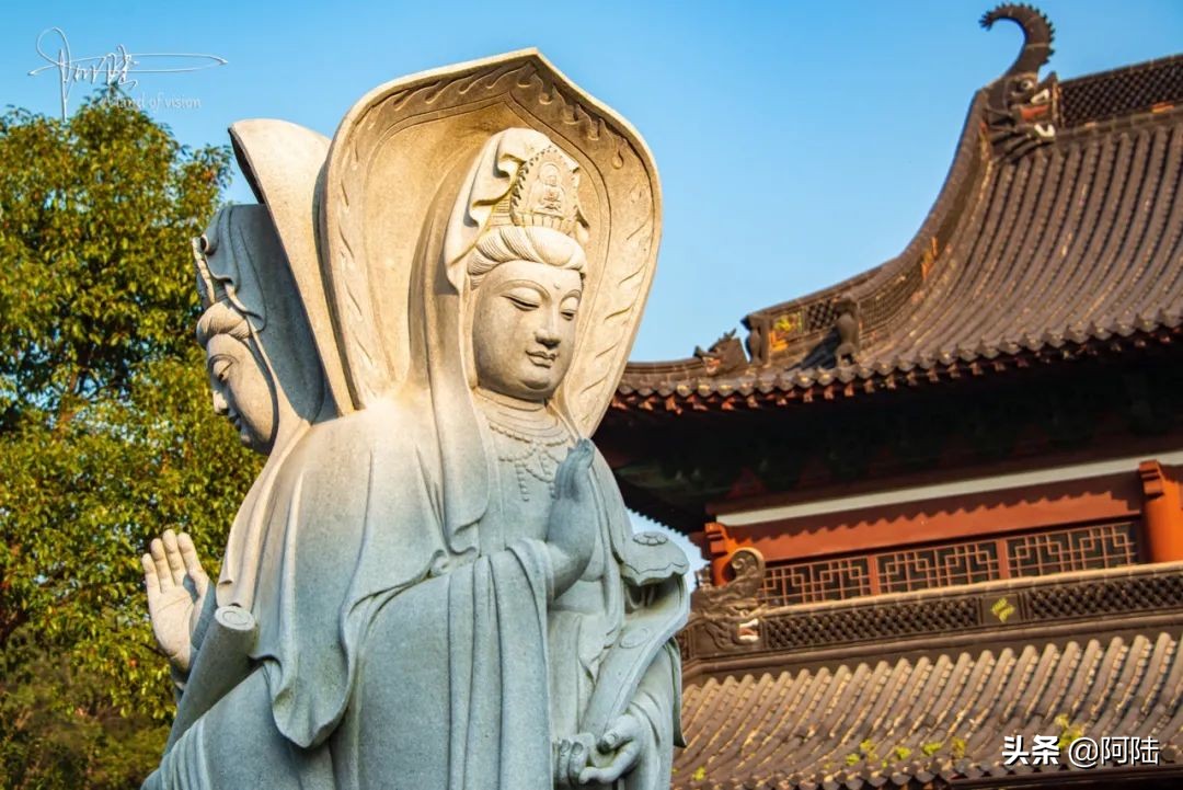 杭州大雄讲寺完整视频,大雄禅寺杭州