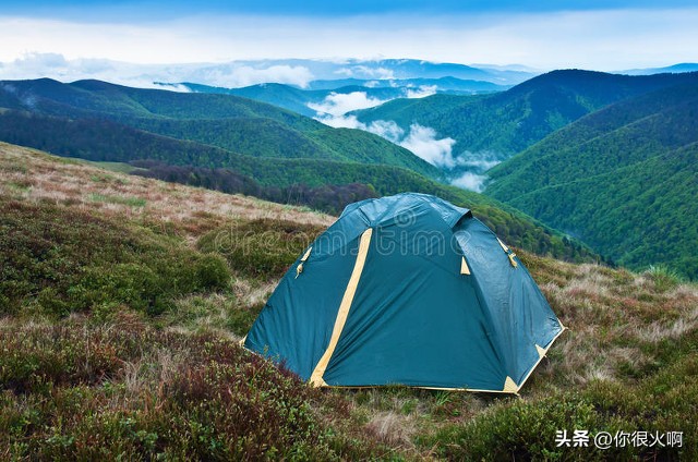 小宝宝如何避免蚊虫叮咬,狗剃毛怎么避免蚊虫叮咬