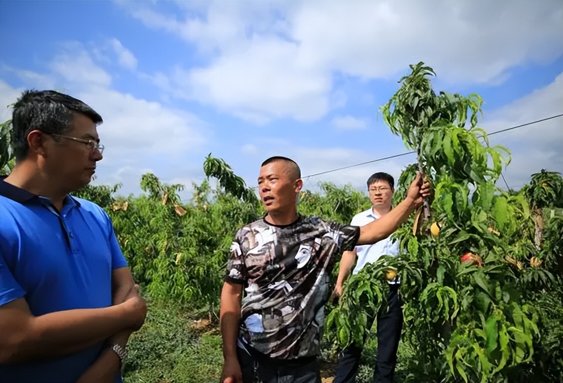 政策性农业保险怎么样,完善政策性农业保险机制