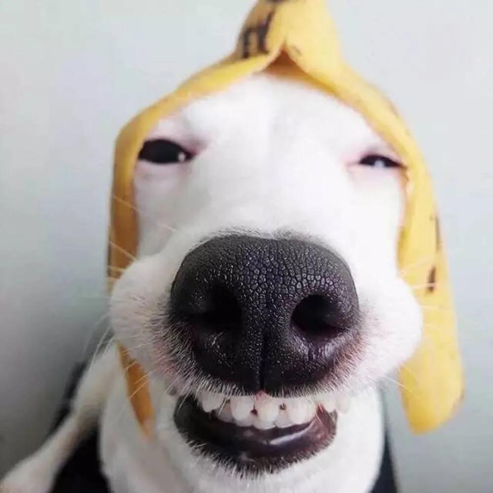 哪种超能力最弱呢？「愉悦值的小确幸」已完结