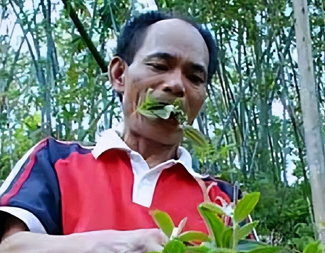 龚清孝：吃草上瘾得以赚钱娶媳妇，34年吃了40吨草：我就喜欢吃草