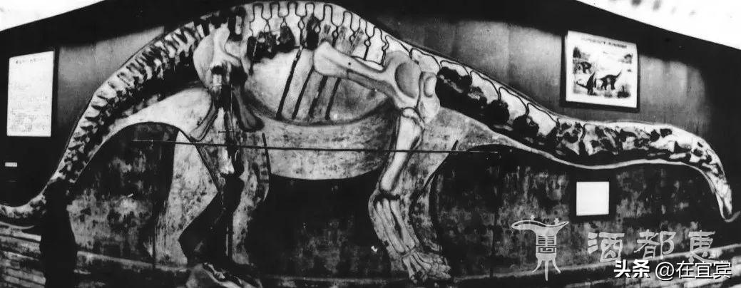 恐龙故乡黑龙江,四川的恐龙之乡