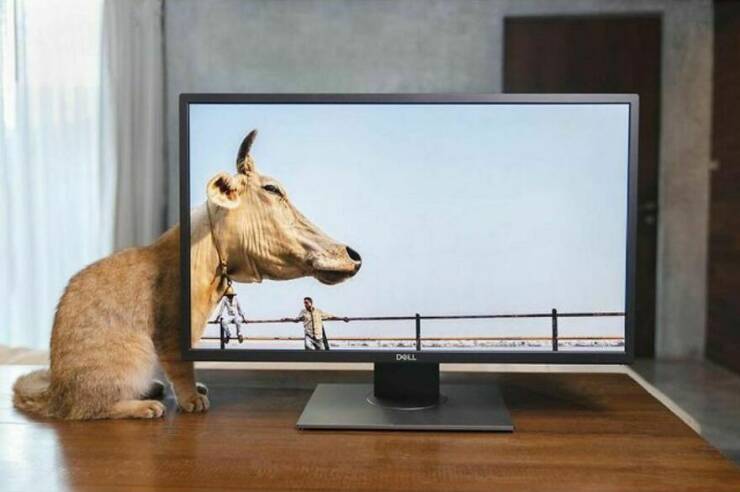 78个真实有趣的照片：山顶的足球场，老树与佛像，老司机脸部皮肤