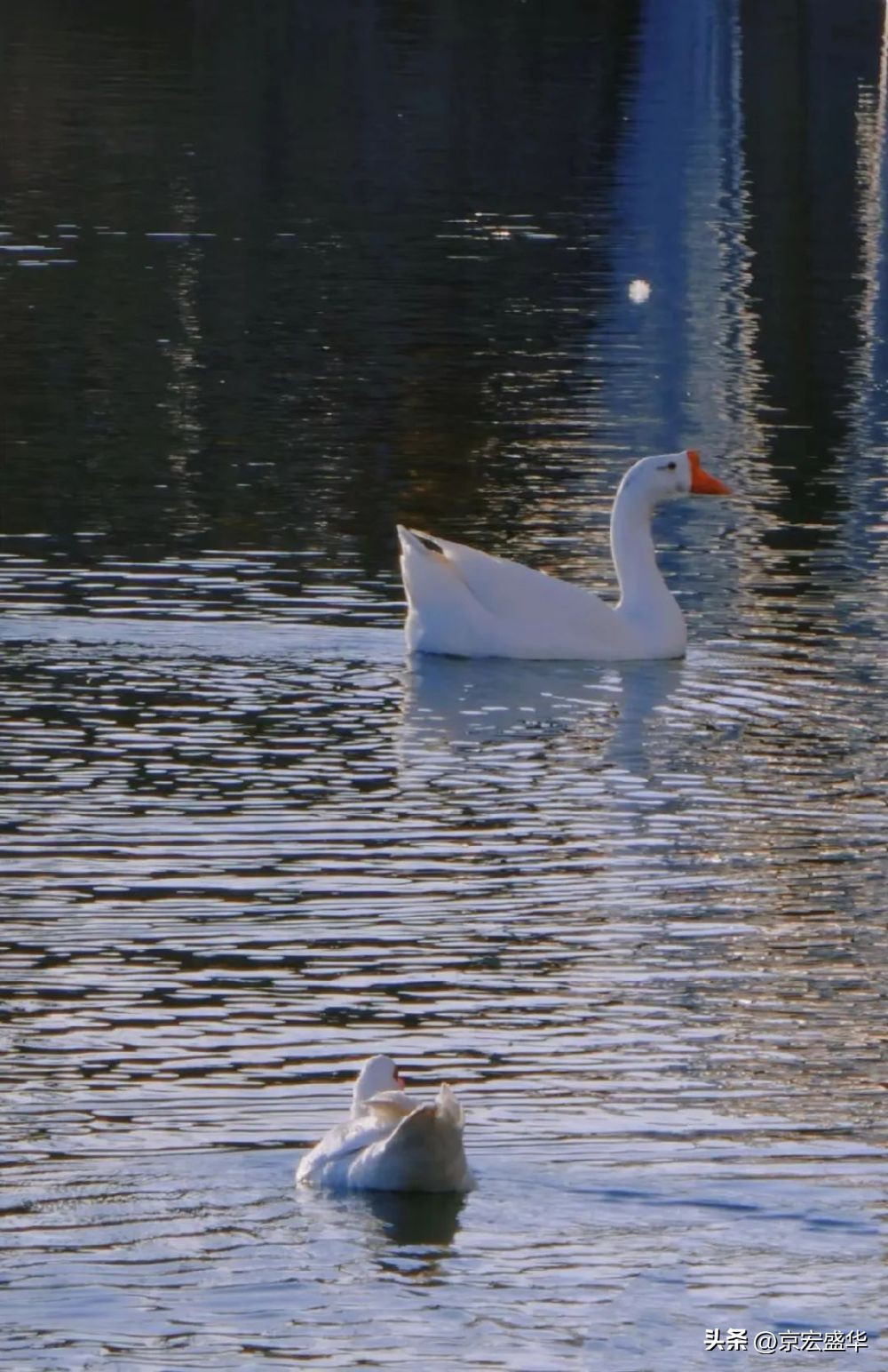 晋城的九重天阙