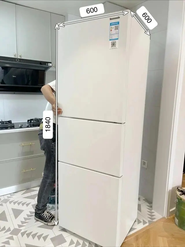 松下冰箱怎么样质量好不好啊,松下冰箱te45atx与e450px区别