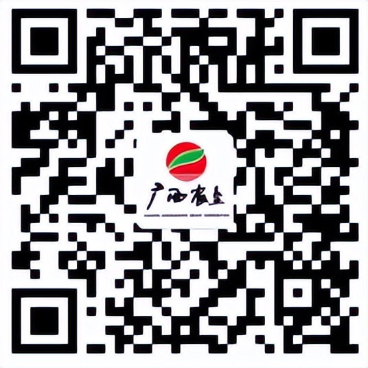 九大电商平台入驻的时间和地点,九大电商平台