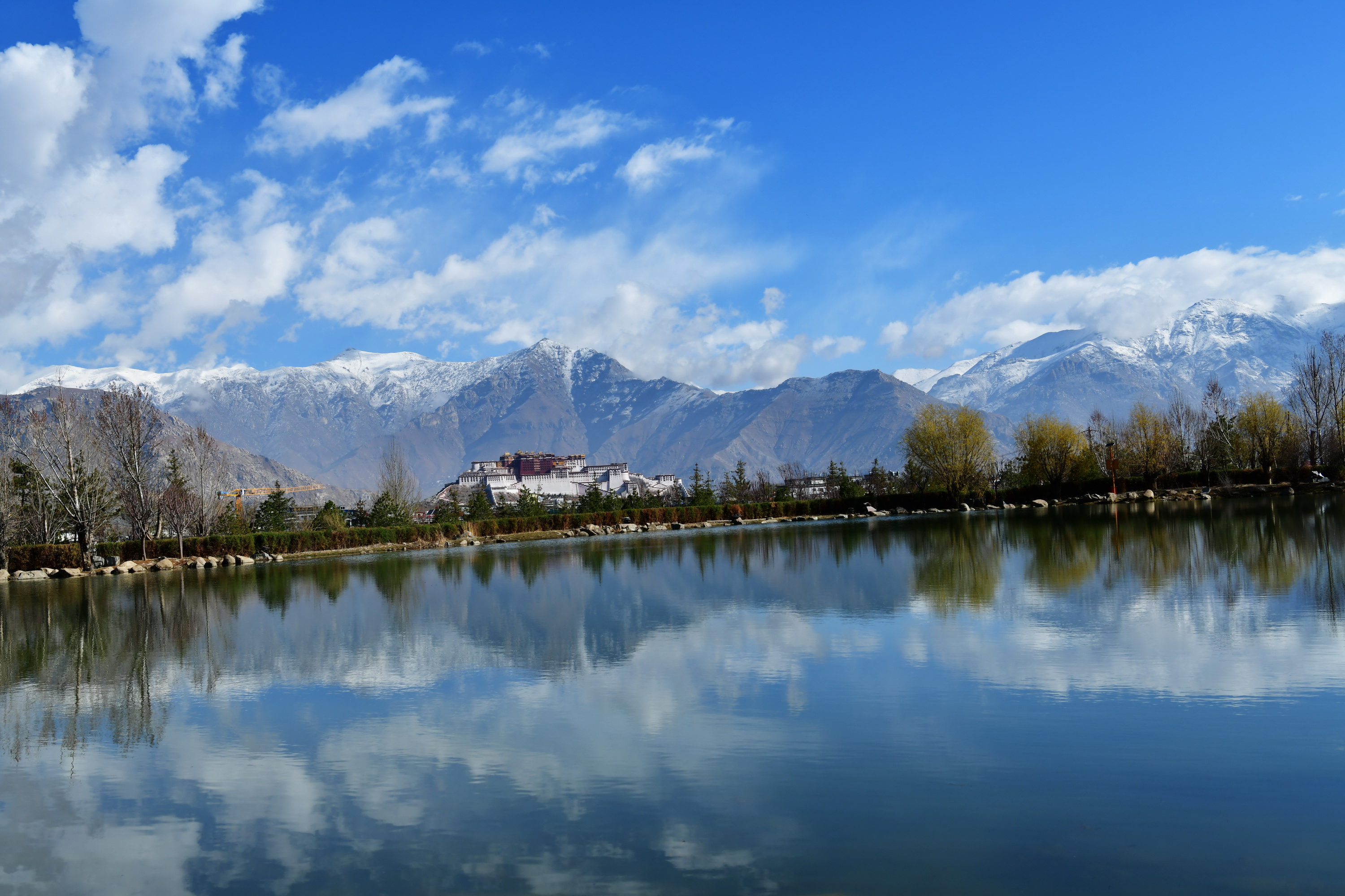 我的林芝一日游攻略,林芝看桃花西藏之旅