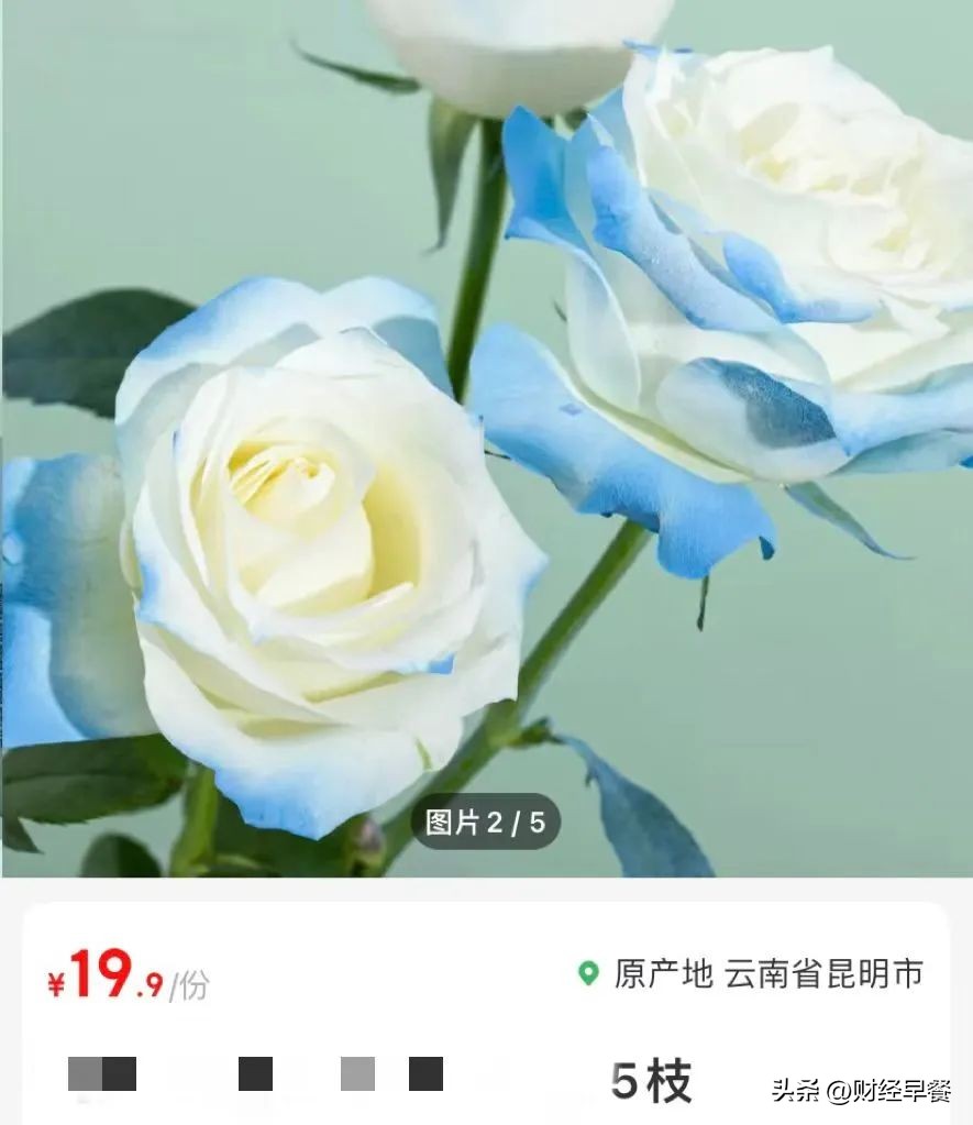 婚礼能准备多少捧花,婚礼一定要有手捧花吗