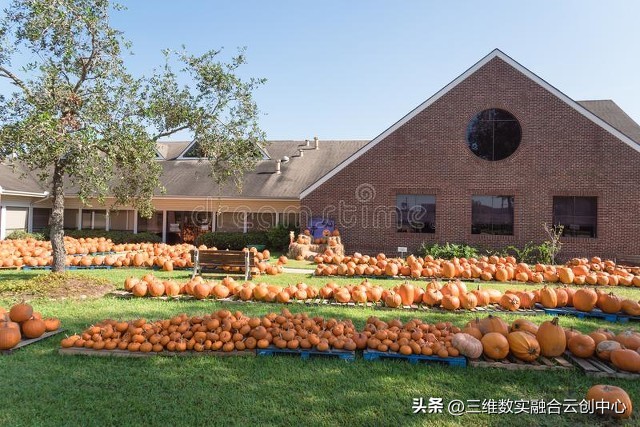 新型家庭农场的致富路,家庭农场的发展红利又将迎来高潮