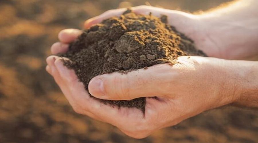 中国进口80%的石油,中国60%大米进口吗