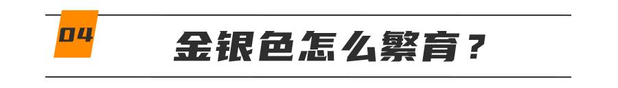 基因技术重大突破,基因科技的重大突破