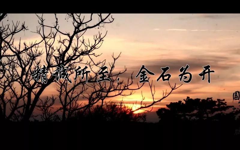 信任带来温暖作文,信任作文初中800字