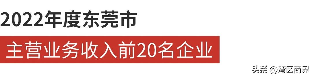 东莞开发商最新排行榜,东莞十大独角兽企业