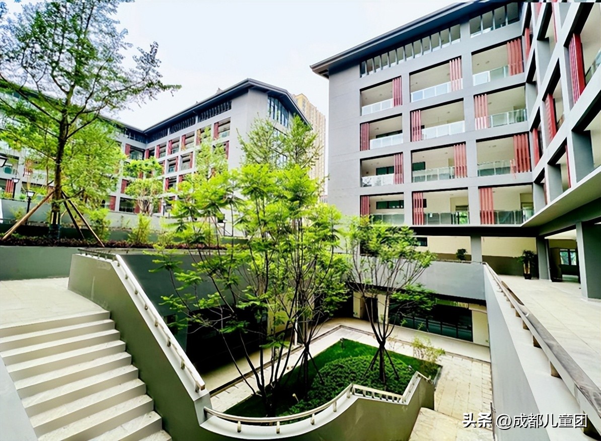 看中“直升”,还是想要“金花”?五大区的教育特色,谁是你的心头好