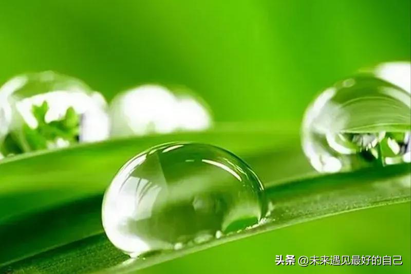 申报副高职称对专业有要求吗,申报副高职称