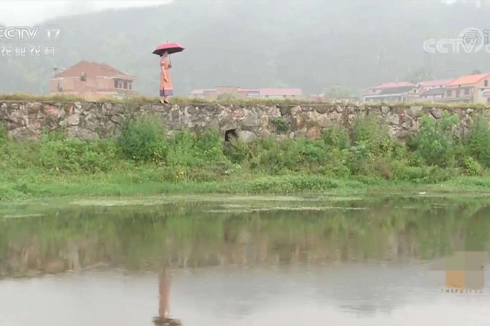 湖南女子投资180万开农庄日入2位数,如今靠柴火鸡年销售额1000万