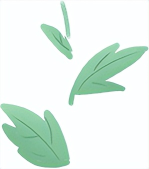 「强国复兴有我」看绿春最强创业搭档，将“小魔芋”变身“金疙瘩”