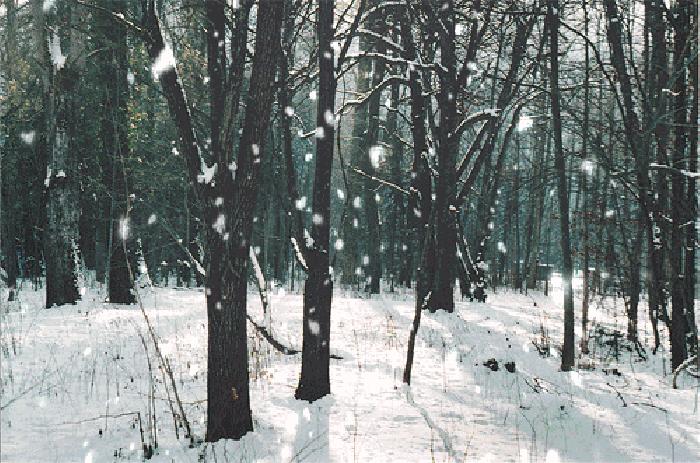 鉴赏古诗终南望余雪,描写雪景的诗句古诗大全