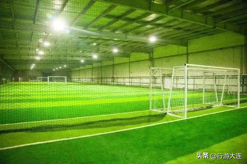 大连体育中心足球场专业足球场,世界杯足球场比赛场地
