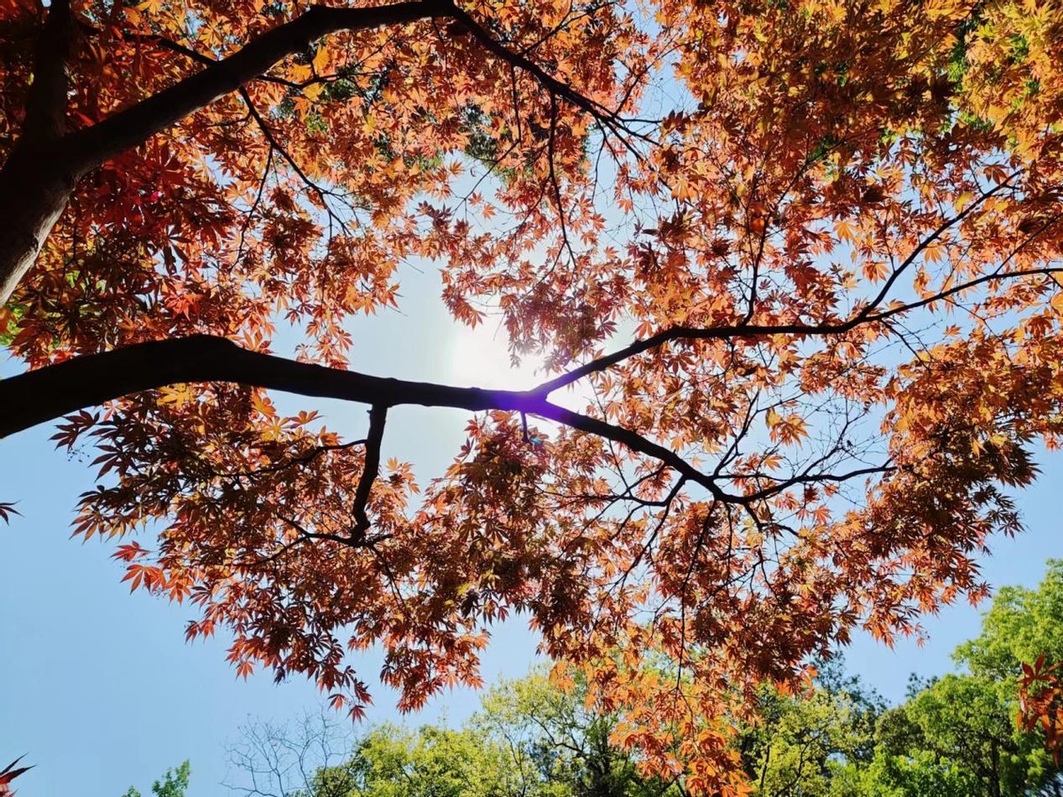 玩转长沙攻略,带你玩遍长沙攻略