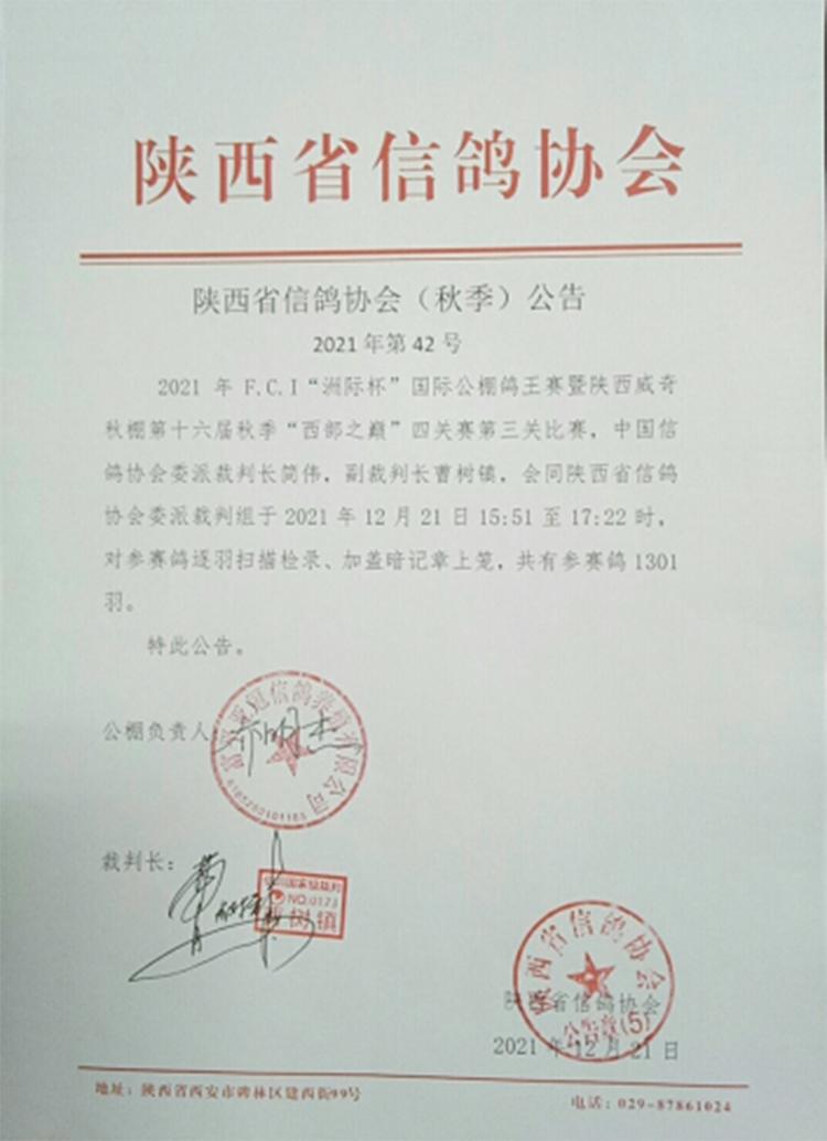 国际公棚鸽王赛,2022国际鸽联