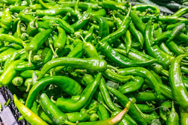 我在深圳创业的30年,程序员做什么生意最赚钱