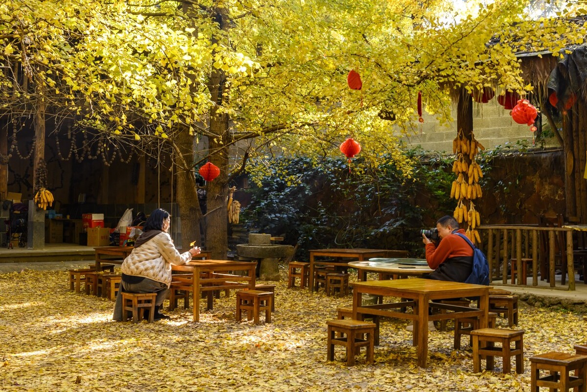 11月份去哪里玩最好玩呢,十一月份秋天适合去哪旅游国内