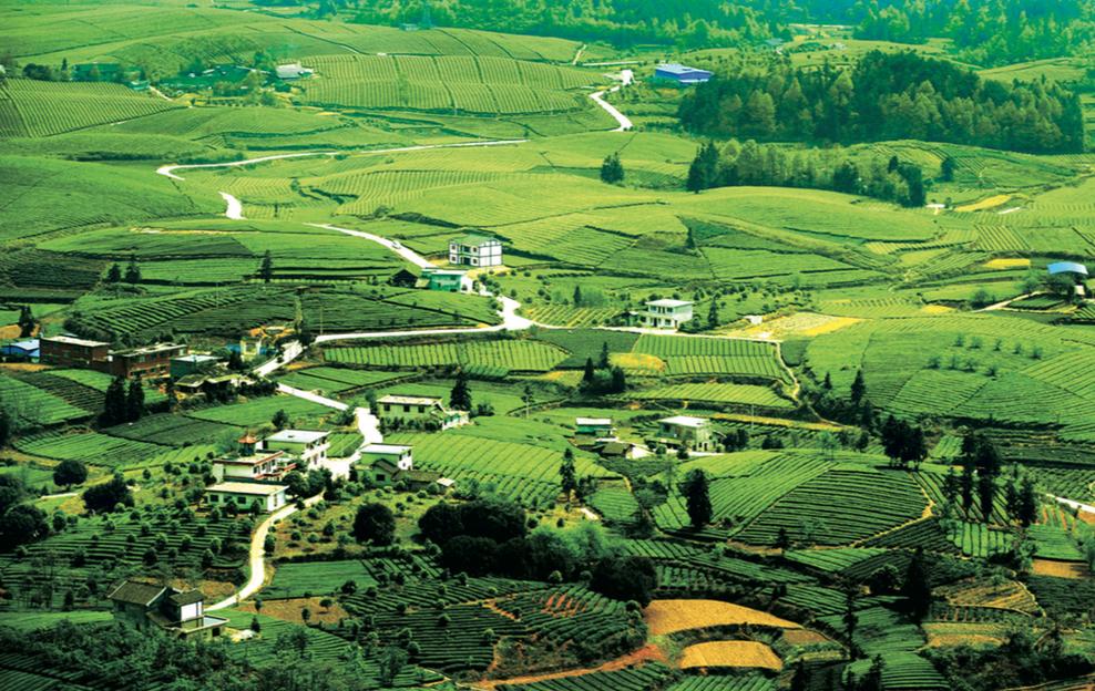 清明哪里适合踏青旅游,清明踏青好去处赏景玩乐两不误