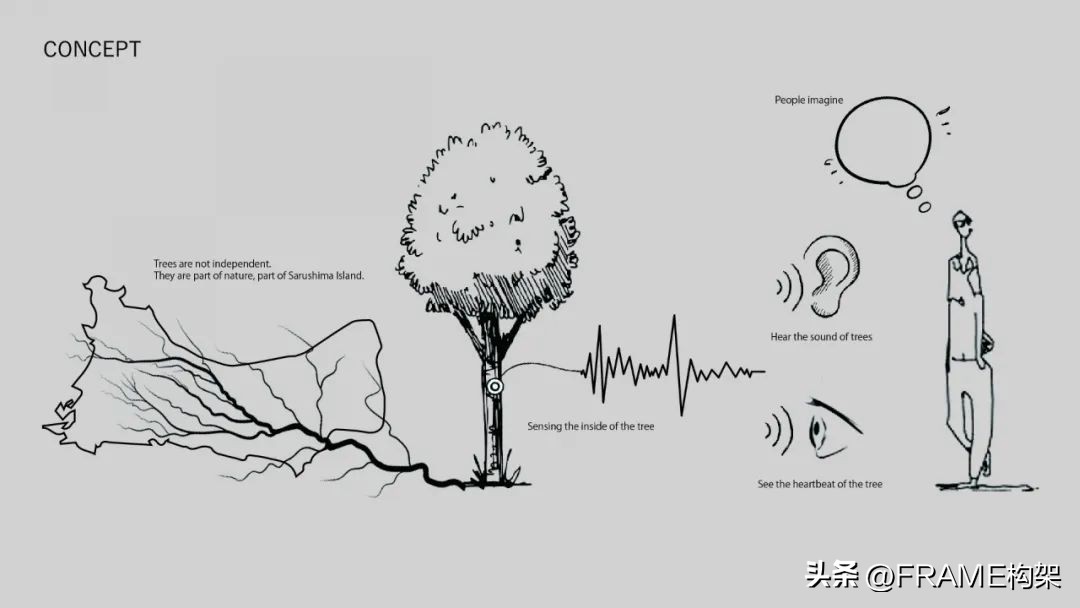 一周最受欢迎|Aesop多伦多体验店、哥伦比亚公寓、日本TreeSays