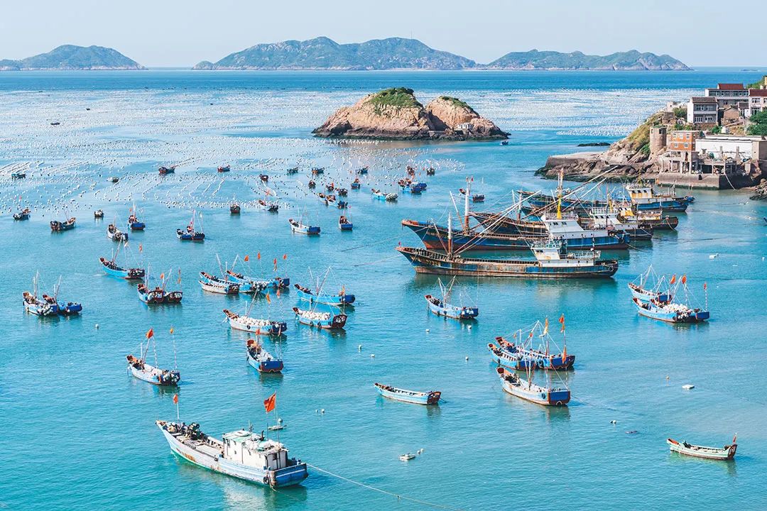 有缘千里来吃“臭”，不用暗号，靠味儿就行