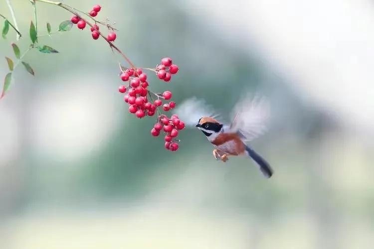 干部选拔流程的作用,干部选拔有哪些好的做法