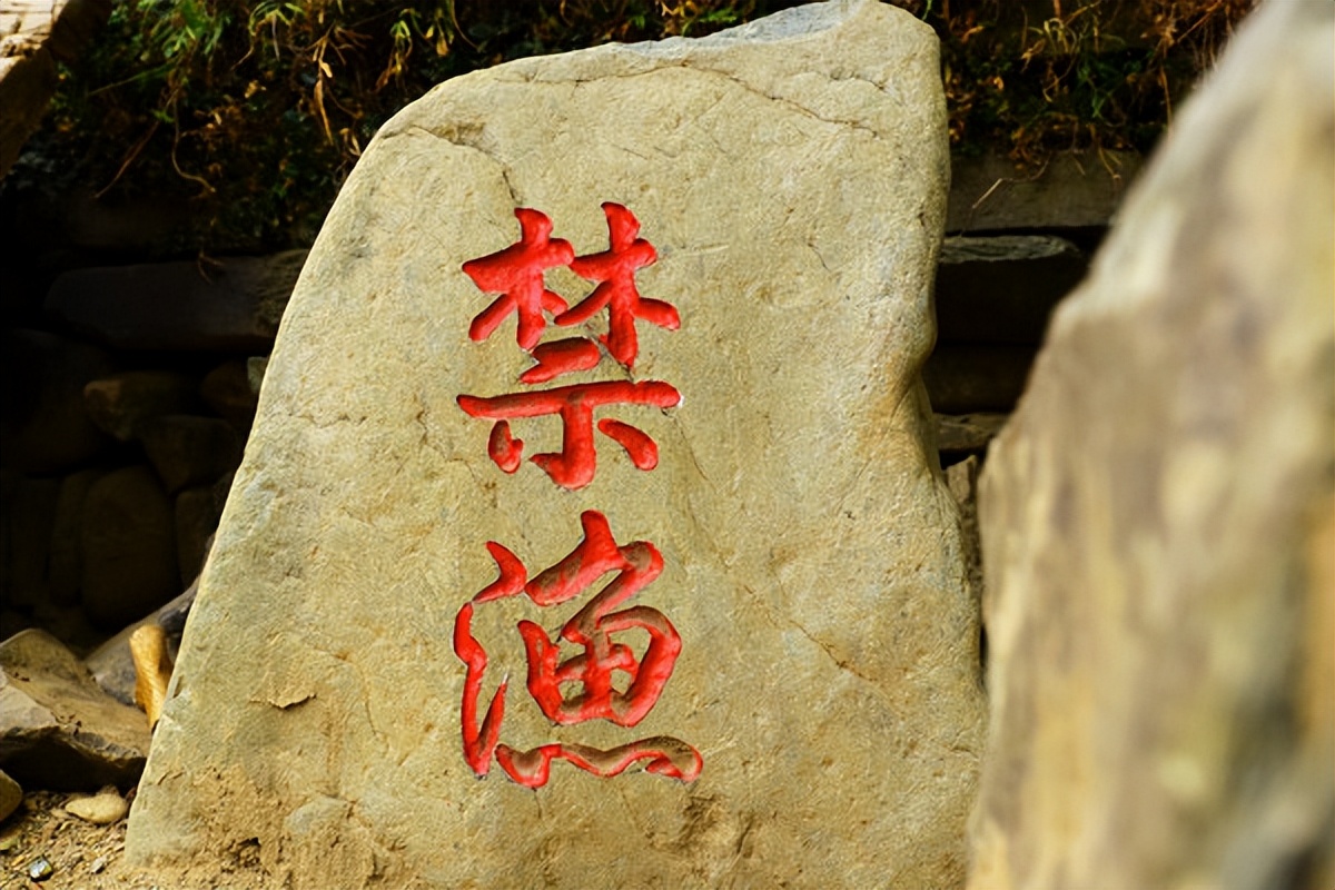 江西瑶里古镇游记,瑶里古镇属于江南吗