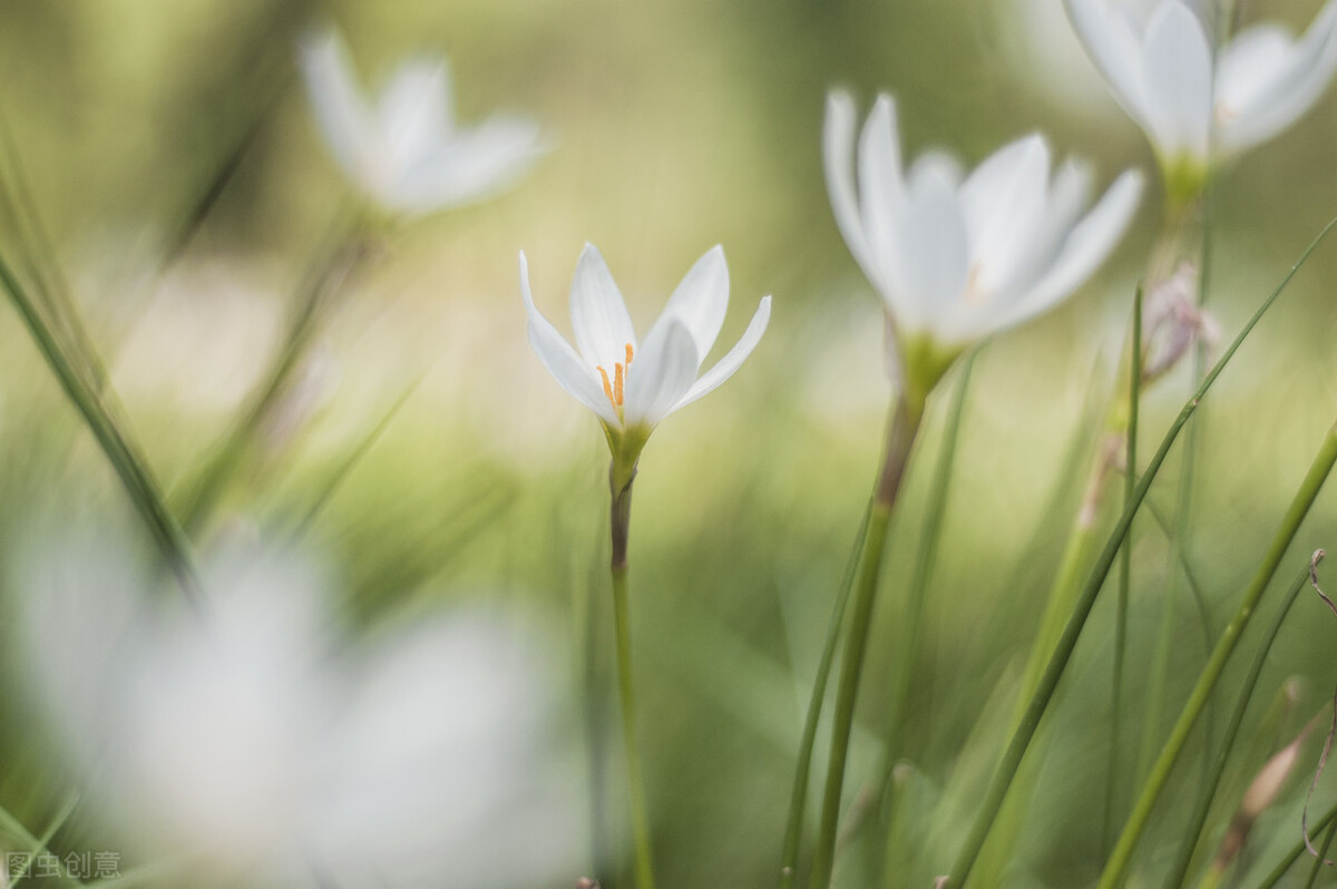 手机总是不对焦怎么回事,手机对不上焦怎么解决