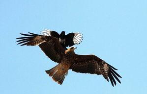 面包夹知识,面包夹心冷知识