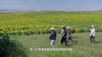 中国味儿,恰似那把瓜子