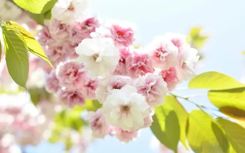 她赚了那么多钱，肯定不干净为什么对女性的偏见如此严重？