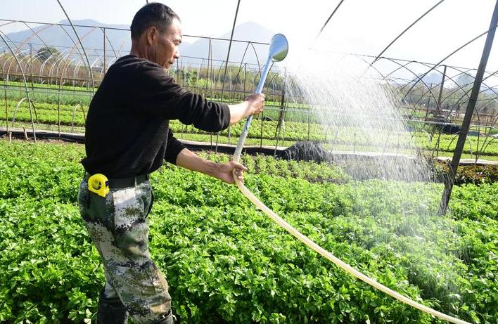 大叔放弃自己的行业,大叔放弃自己的事业