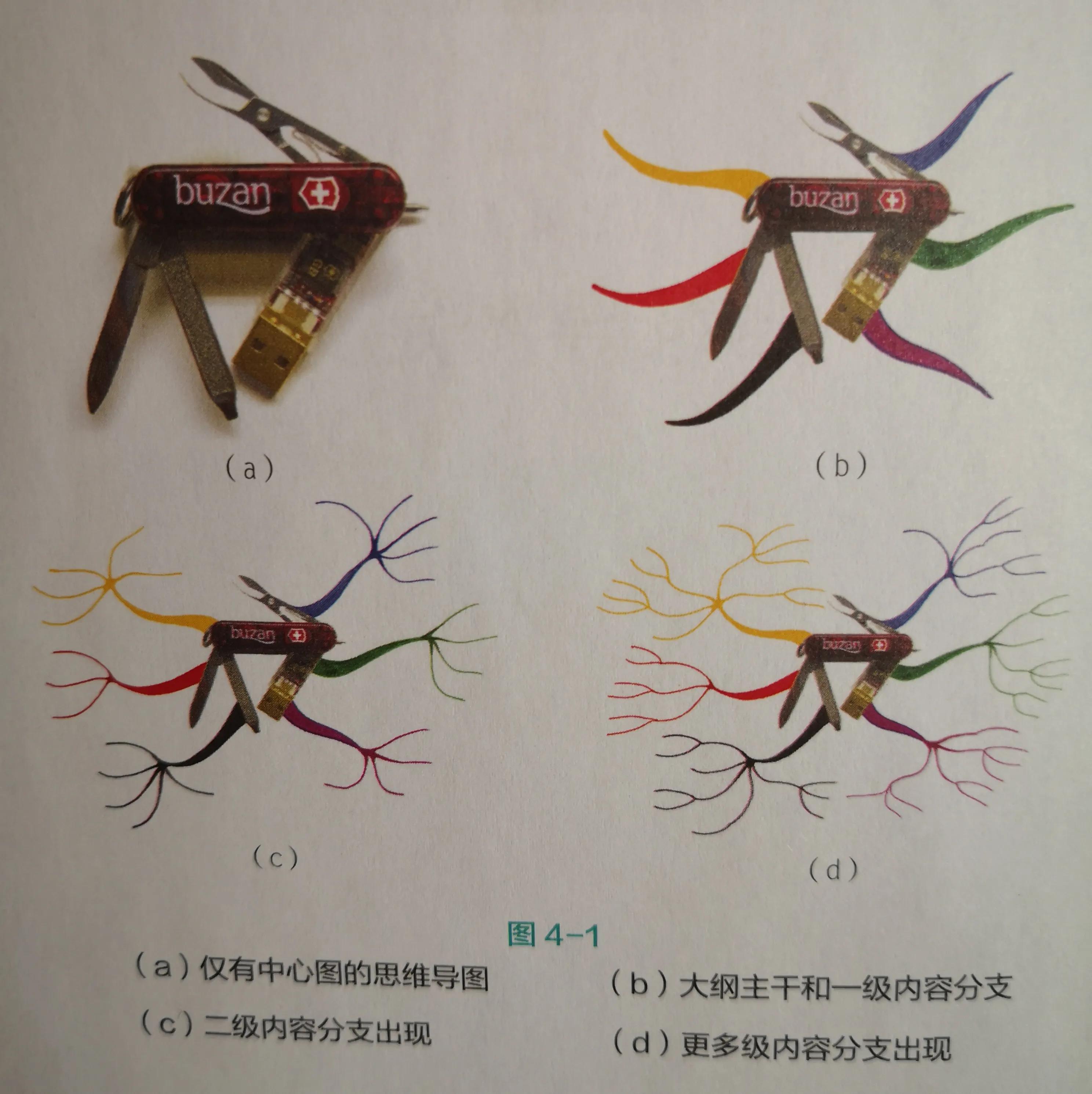 高效利用时间思维导图,一日作息的思维导图