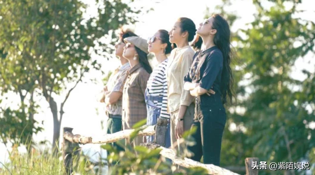 刘亦菲去有风的地方演技吐槽,去有风的地方刘亦菲和其他人同框